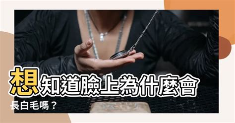 智慧毛|【為什麼會長智慧毛】為什麼會長智慧毛？面相：身體出現「白毛。